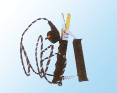늄(dng)βQ